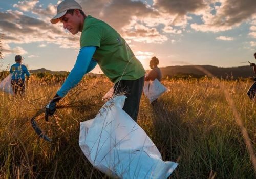 © Pnuma/Todd Brown
                          No Cerrado brasileiro, os esforços de restauração incluem regeneração natural, semeadura direta e sistemas agroflorestais com espécies nativas.