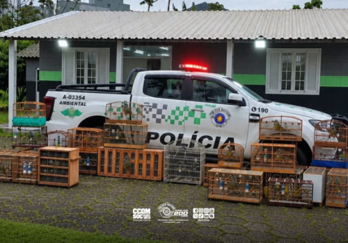 Copia-de-Design-sem-nome-50-1-1024x640.png
