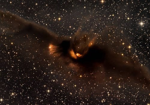 A Nebulosa do Morcego Cósmico (Nebulosa do Morcego Cósmico (LDN 43) é uma densa nuvem molecular escura que lembra a silhueta de um morcego com as asas abertas.
